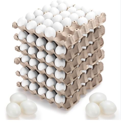 BALUT 17D