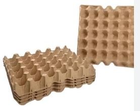 EGG TRAY
